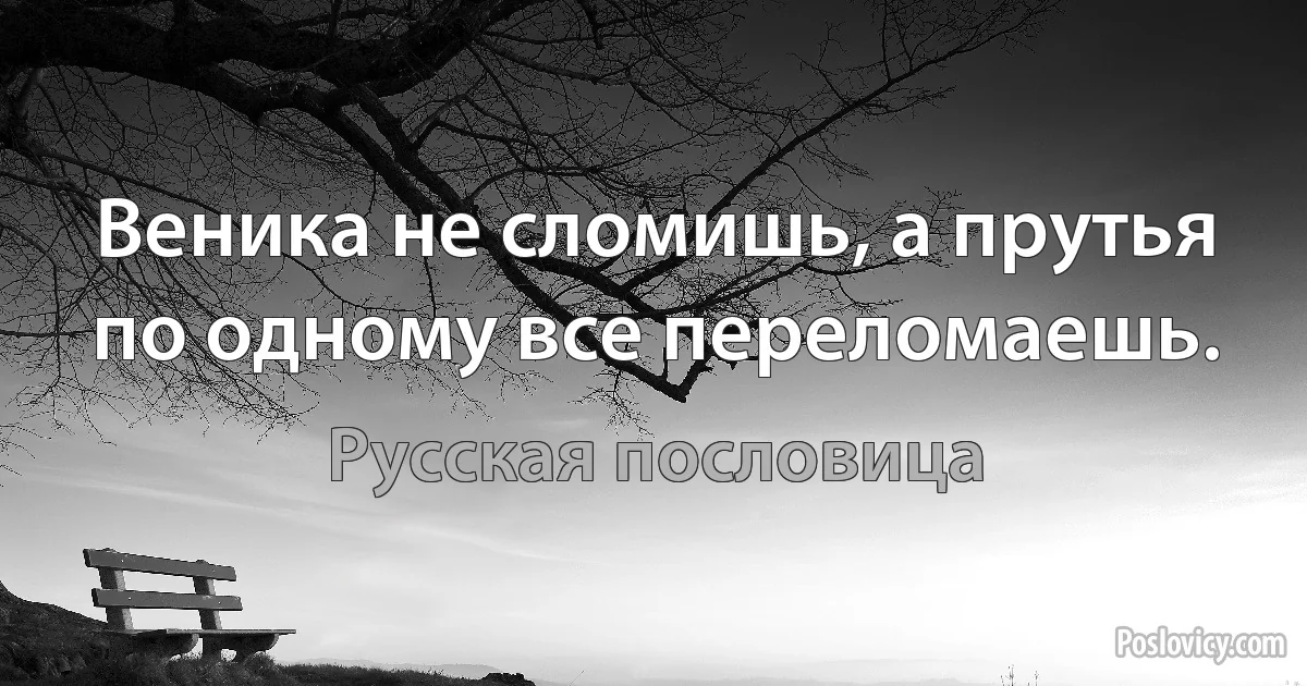 Веника не сломишь, а прутья по одному все переломаешь. (Русская пословица)