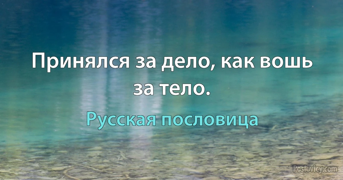 Принялся за дело, как вошь за тело. (Русская пословица)