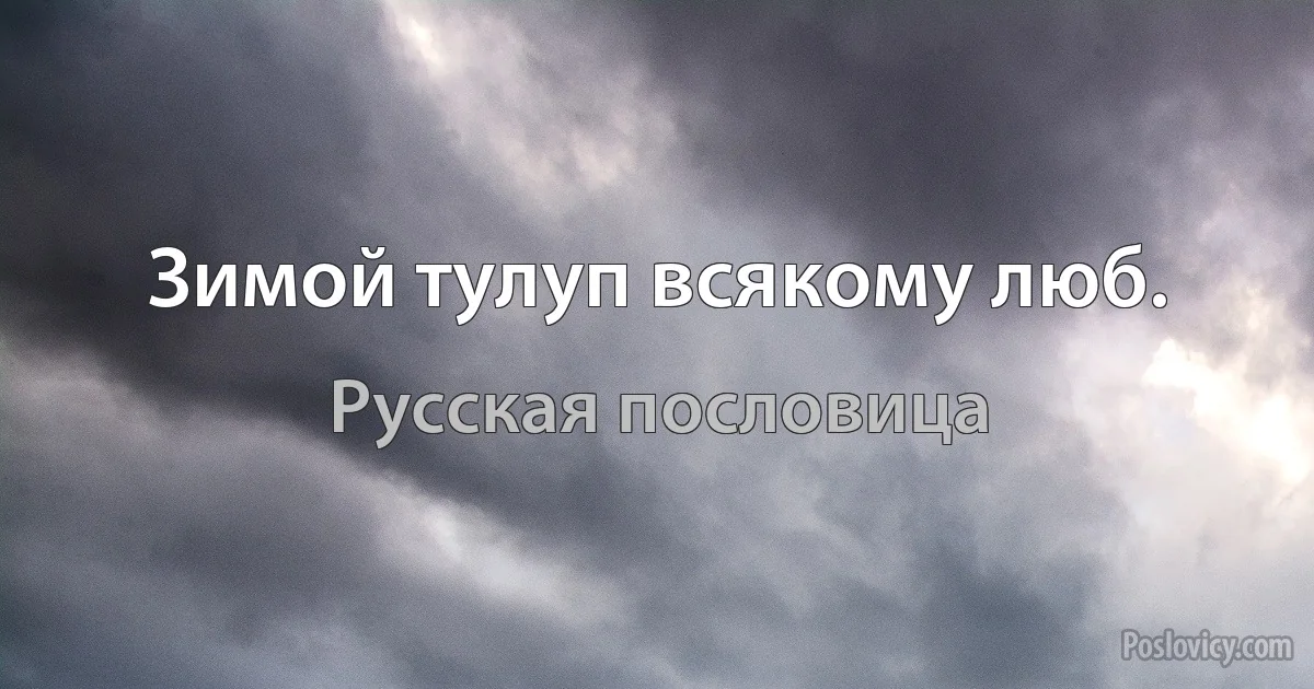 Зимой тулуп всякому люб. (Русская пословица)