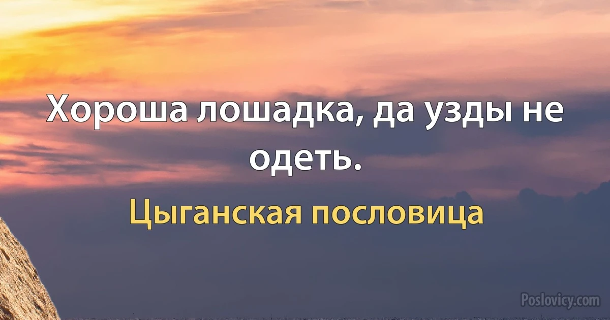 Хороша лошадка, да узды не одеть. (Цыганская пословица)