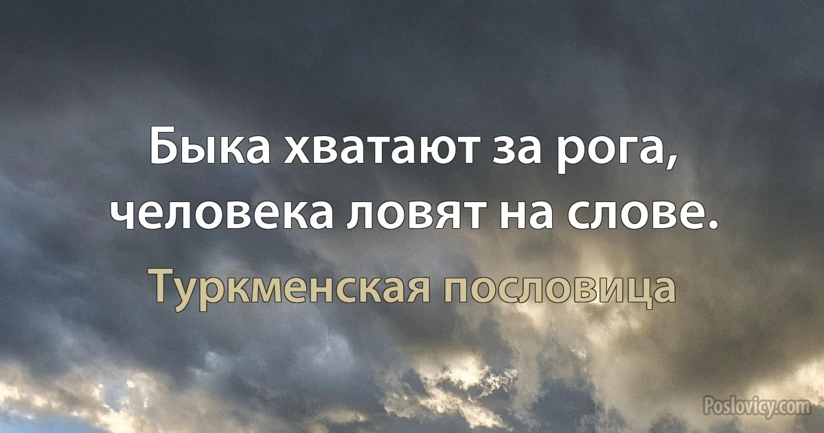 Быка хватают за рога, человека ловят на слове. (Туркменская пословица)