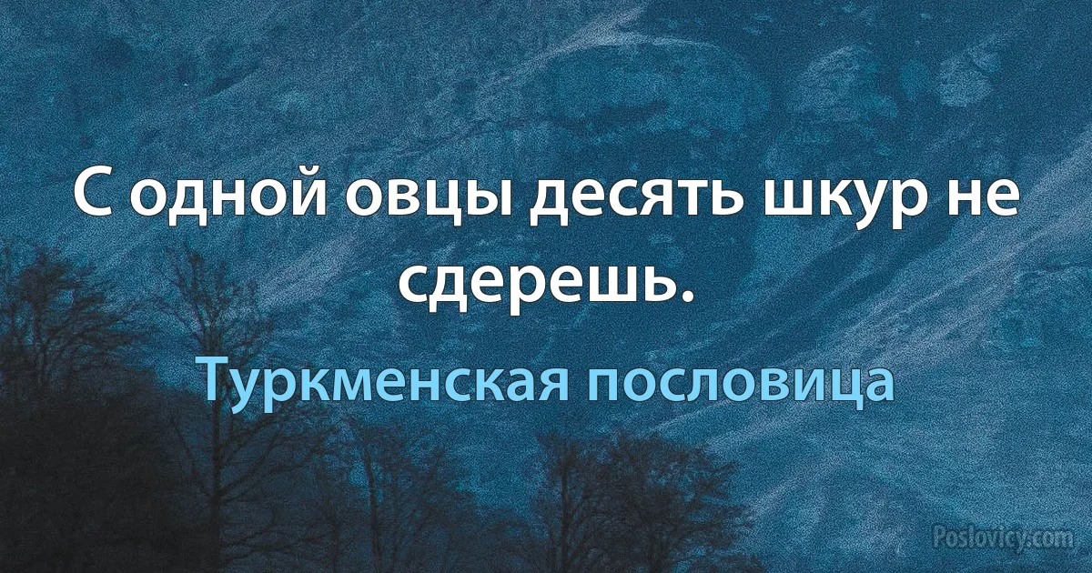 С одной овцы десять шкур не сдерешь. (Туркменская пословица)