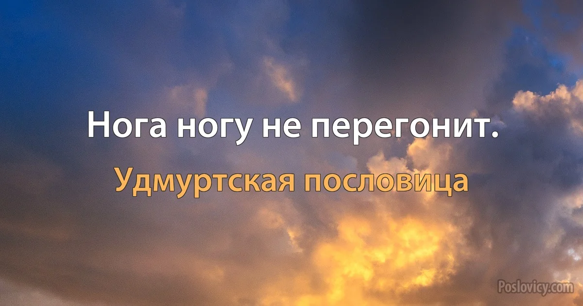 Нога ногу не перегонит. (Удмуртская пословица)