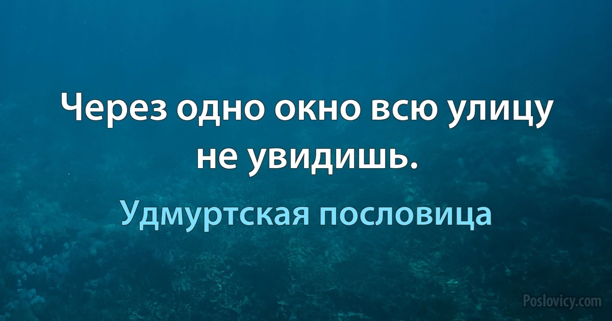 Через одно окно всю улицу не увидишь. (Удмуртская пословица)