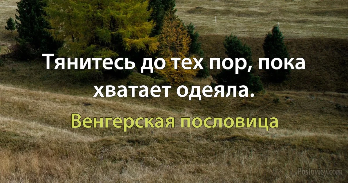 Тянитесь до тех пор, пока хватает одеяла. (Венгерская пословица)