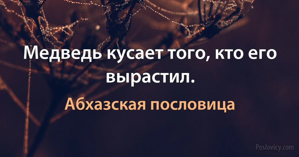 Медведь кусает того, кто его вырастил. (Абхазская пословица)