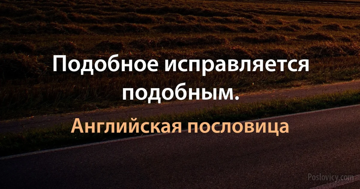 Подобное исправляется подобным. (Английская пословица)