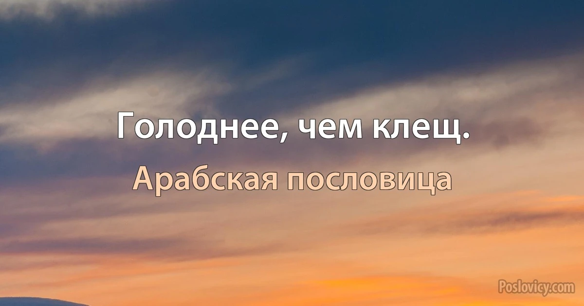 Голоднее, чем клещ. (Арабская пословица)