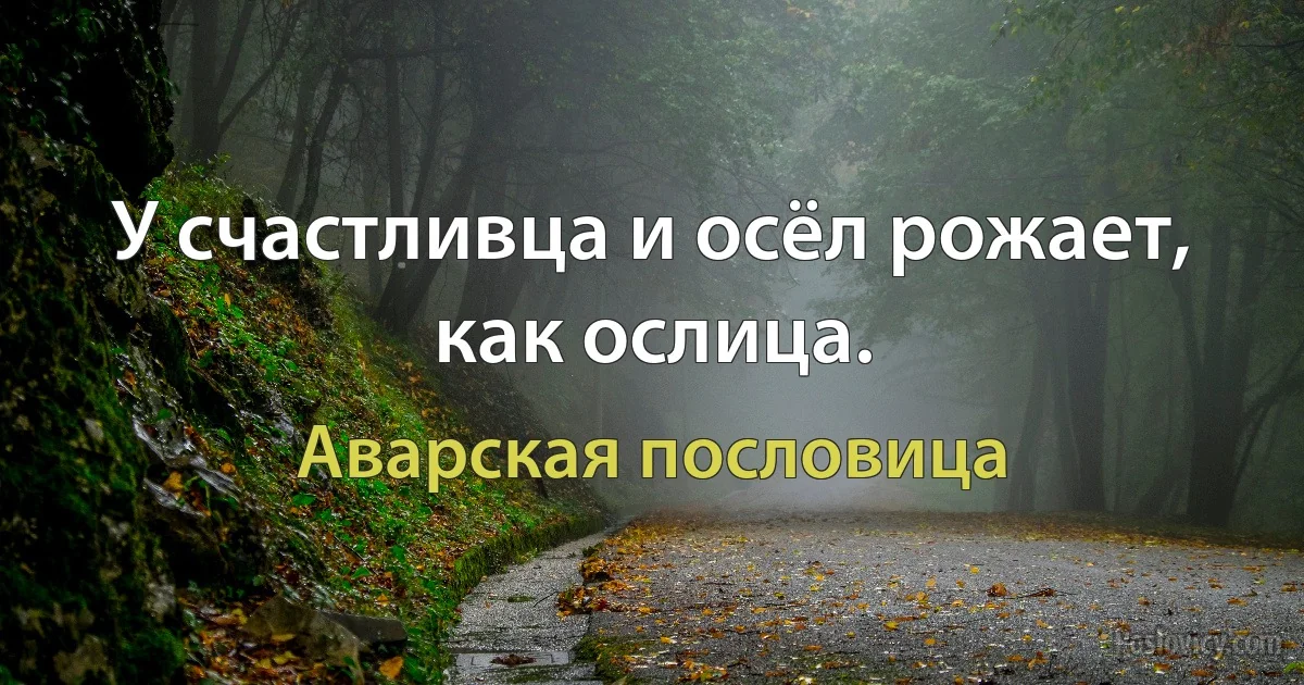 У счастливца и осёл рожает, как ослица. (Аварская пословица)