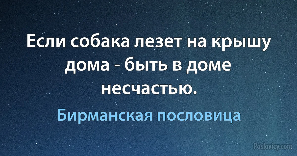 Если собака лезет на крышу дома - быть в доме несчастью. (Бирманская пословица)