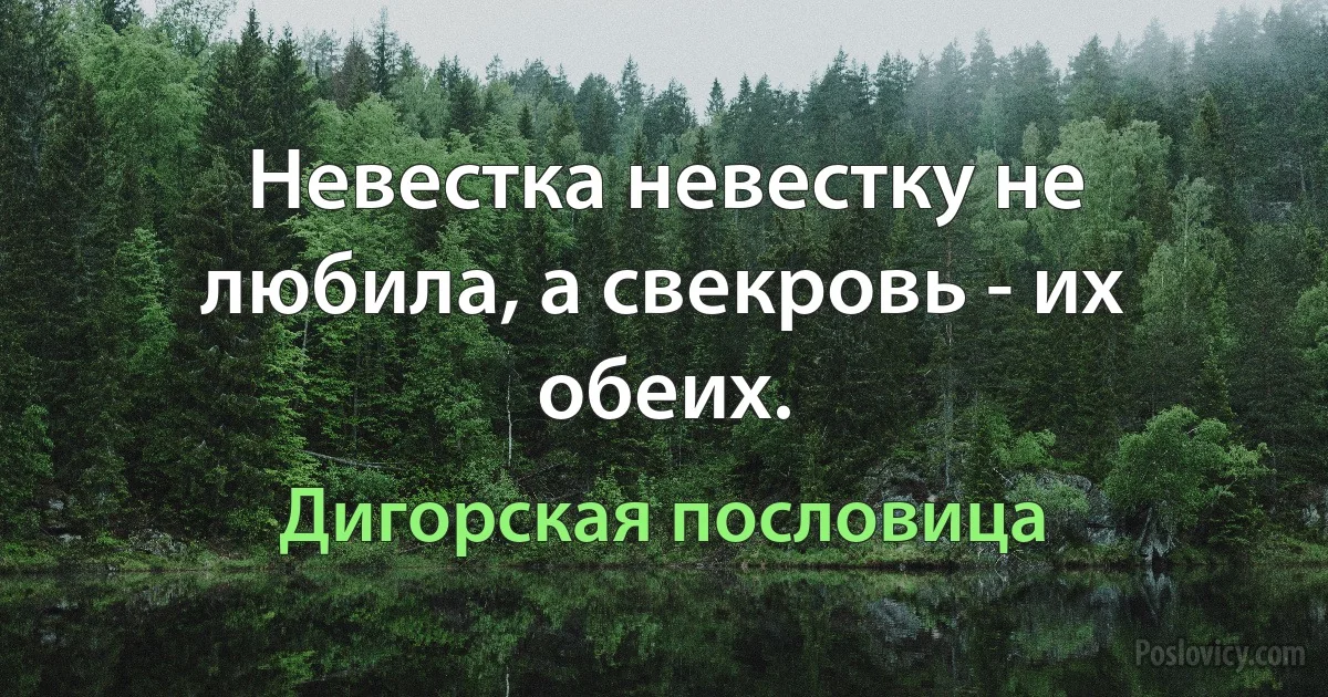 Невестка невестку не любила, а свекровь - их обеих. (Дигорская пословица)