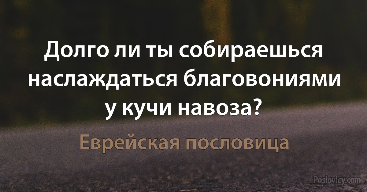 Долго ли ты собираешься наслаждаться благовониями у кучи навоза? (Еврейская пословица)