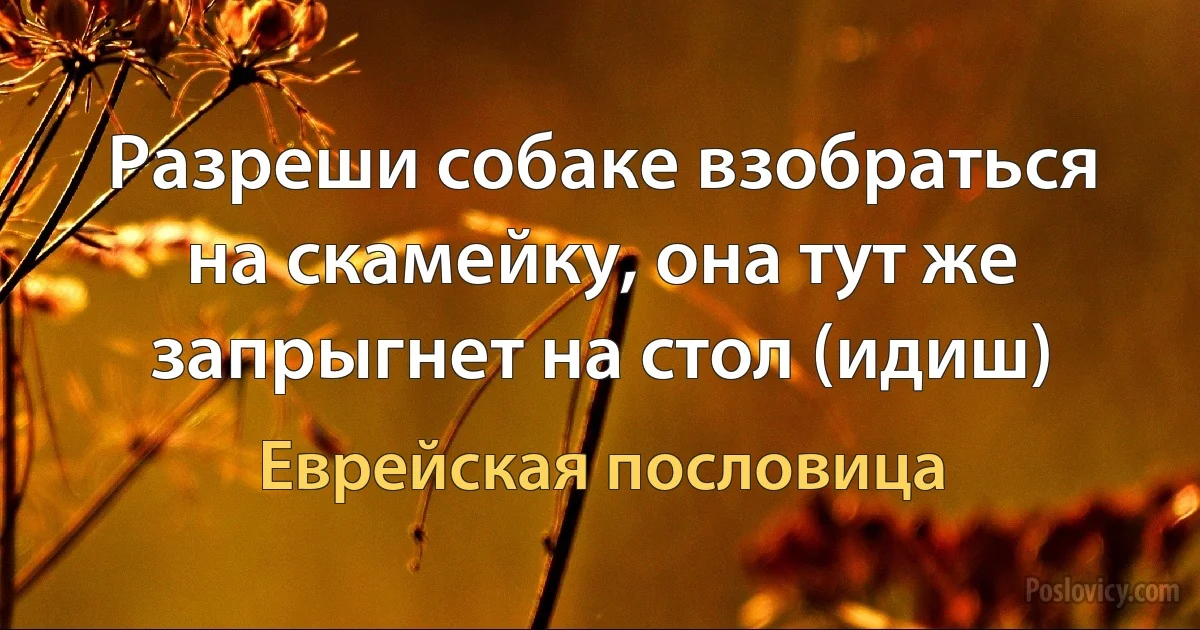 Разреши собаке взобраться на скамейку, она тут же запрыгнет на стол (идиш) (Еврейская пословица)