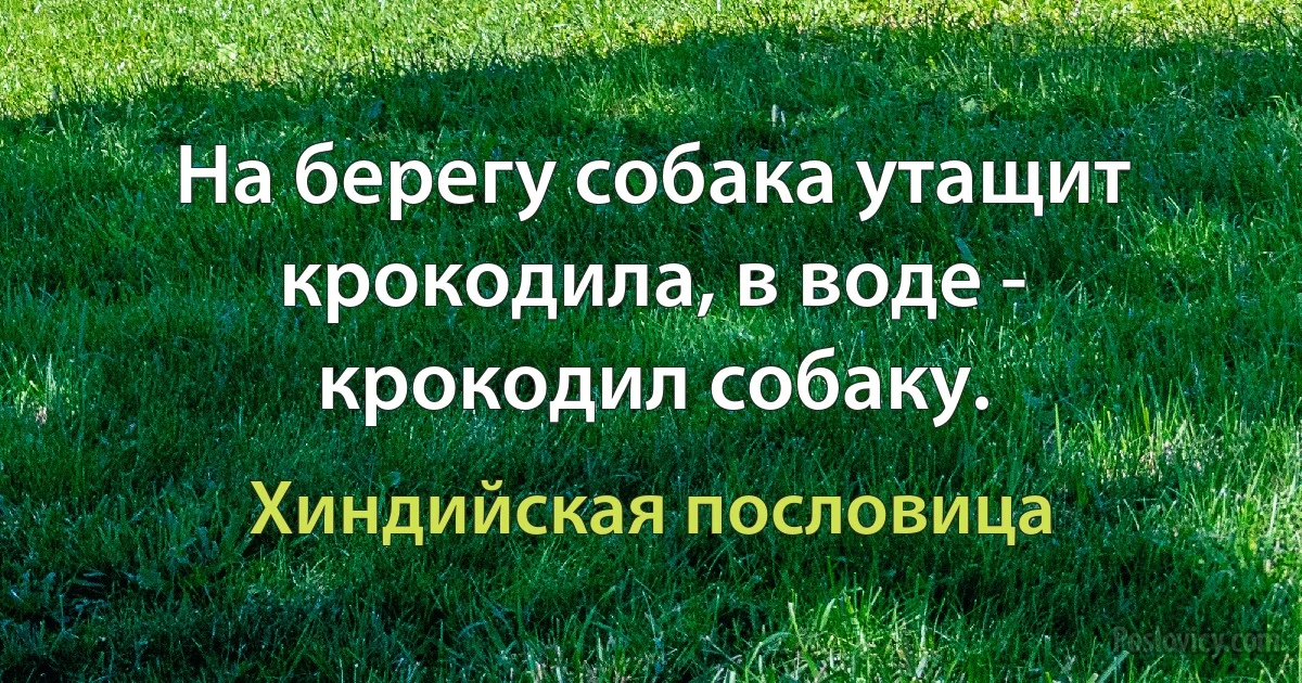 На берегу собака утащит крокодила, в воде - крокодил собаку. (Хиндийская пословица)