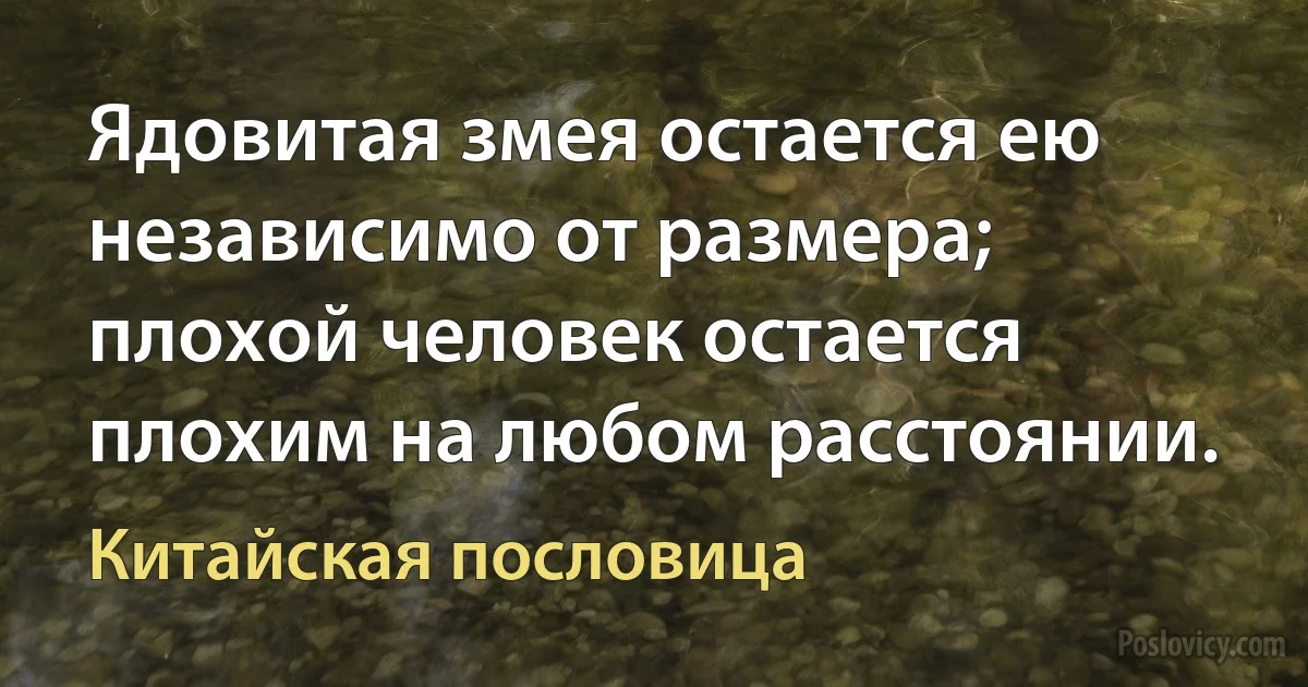 Ядовитая змея остается ею независимо от размера; плохой человек остается плохим на любом расстоянии. (Китайская пословица)