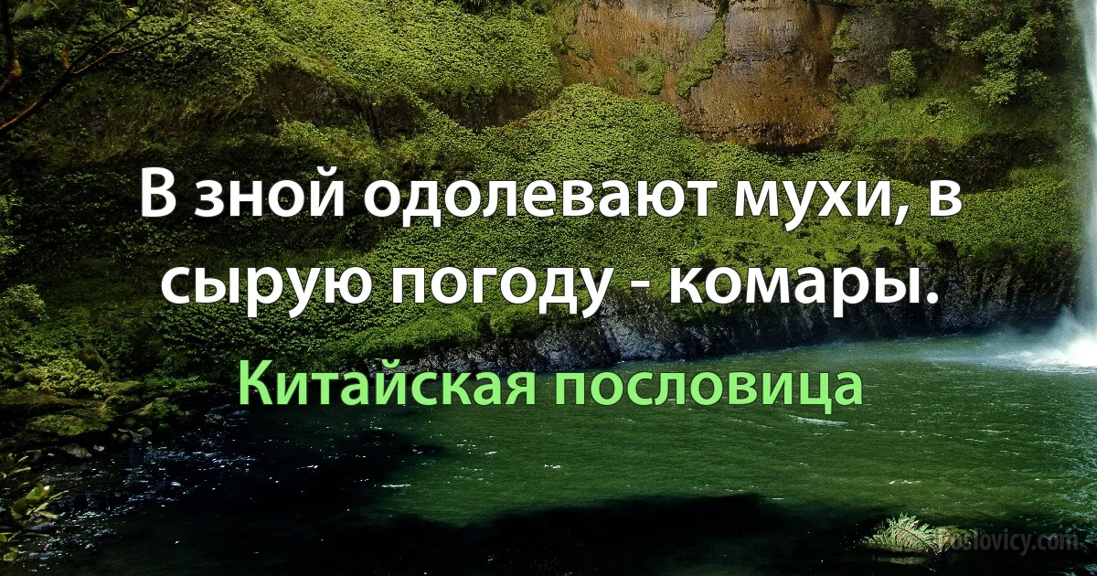 В зной одолевают мухи, в сырую погоду - комары. (Китайская пословица)