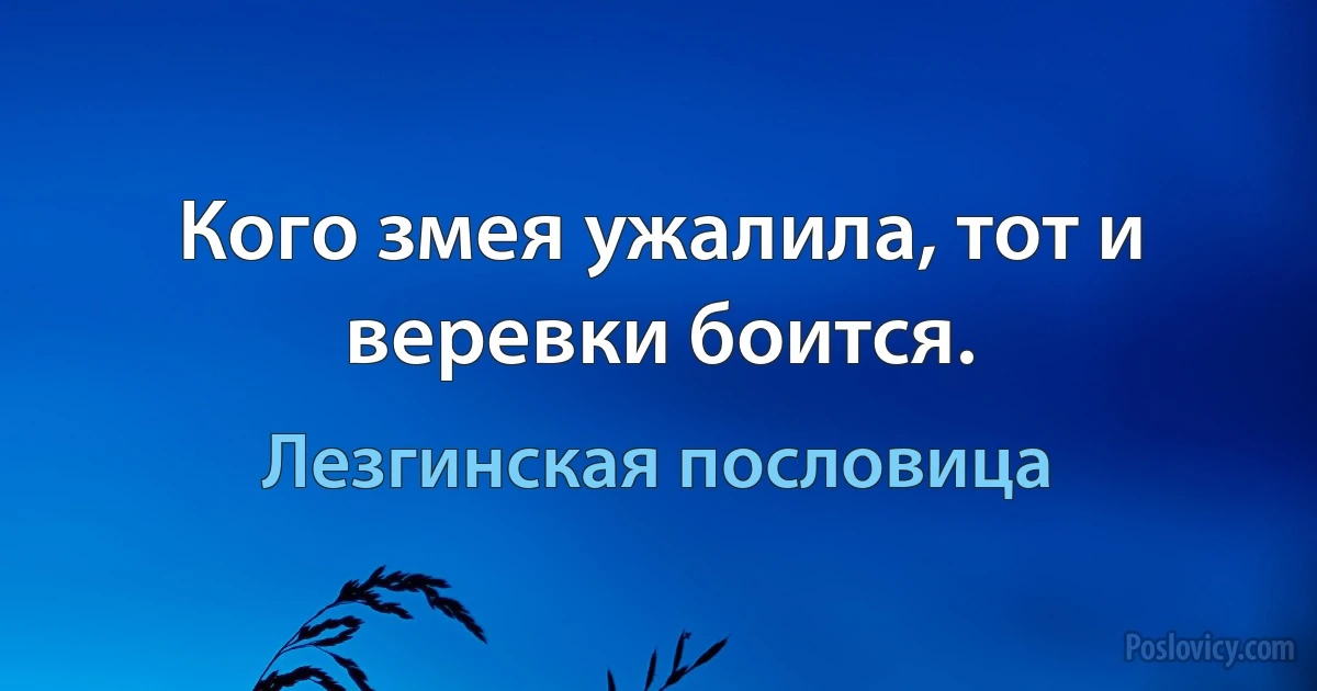 Кого змея ужалила, тот и веревки боится. (Лезгинская пословица)