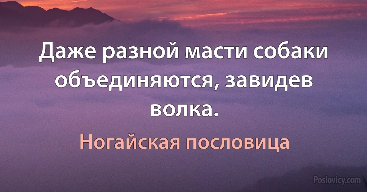 Даже разной масти собаки объединяются, завидев волка. (Ногайская пословица)