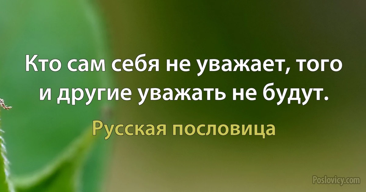 Кто сам себя не уважает, того и другие уважать не будут. (Русская пословица)