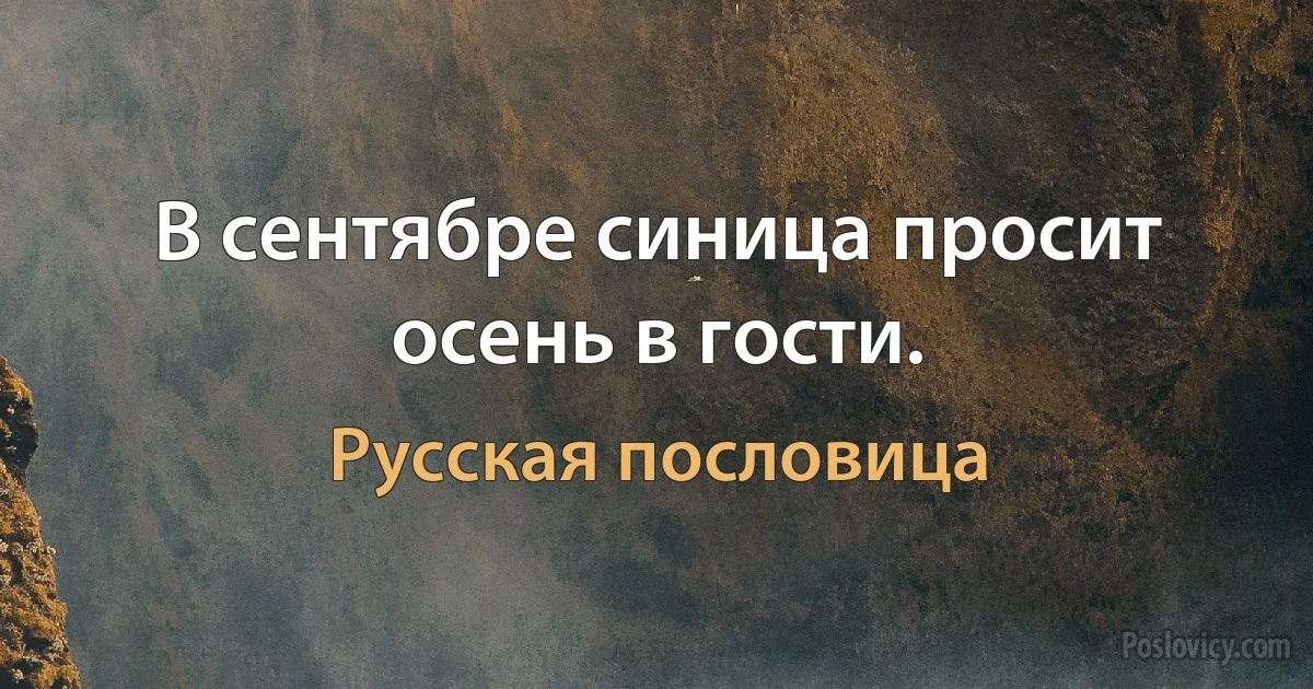 В сентябре синица просит осень в гости. (Русская пословица)