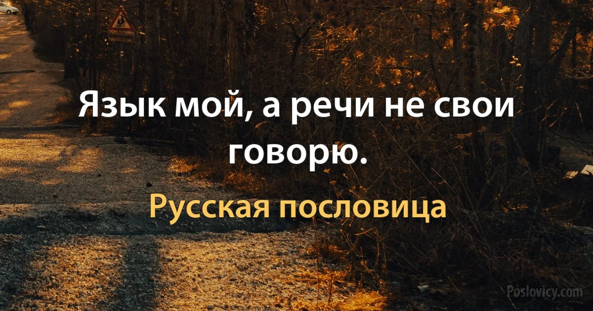 Язык мой, а речи не свои говорю. (Русская пословица)