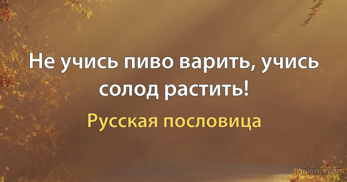 Не учись пиво варить, учись солод растить! (Русская пословица)