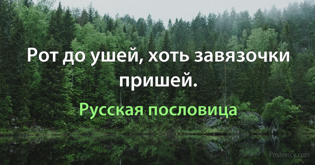 Рот до ушей, хоть завязочки пришей. (Русская пословица)