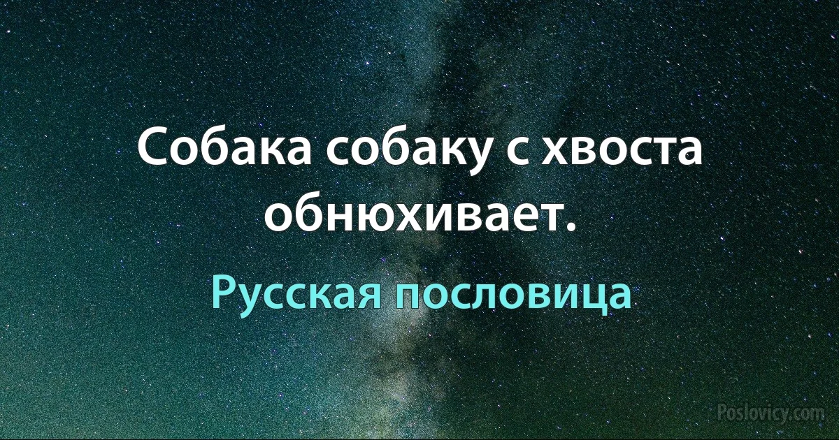 Собака собаку с хвоста обнюхивает. (Русская пословица)