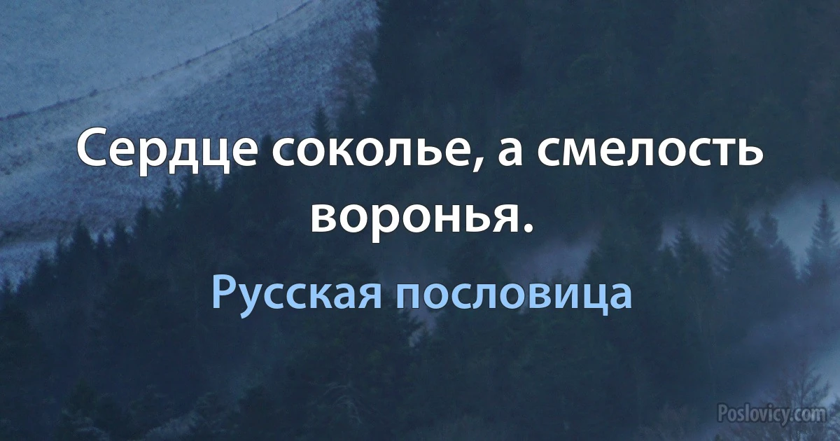 Сердце соколье, а смелость воронья. (Русская пословица)