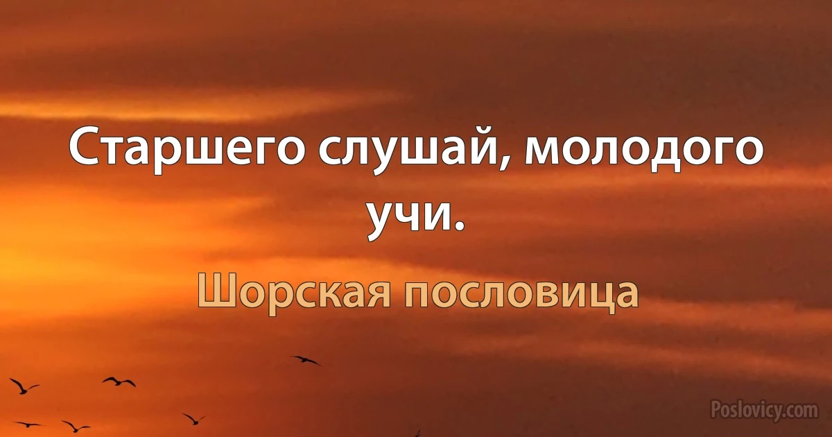 Старшего слушай, молодого учи. (Шорская пословица)