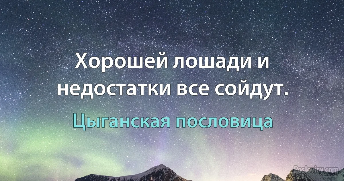 Хорошей лошади и недостатки все сойдут. (Цыганская пословица)