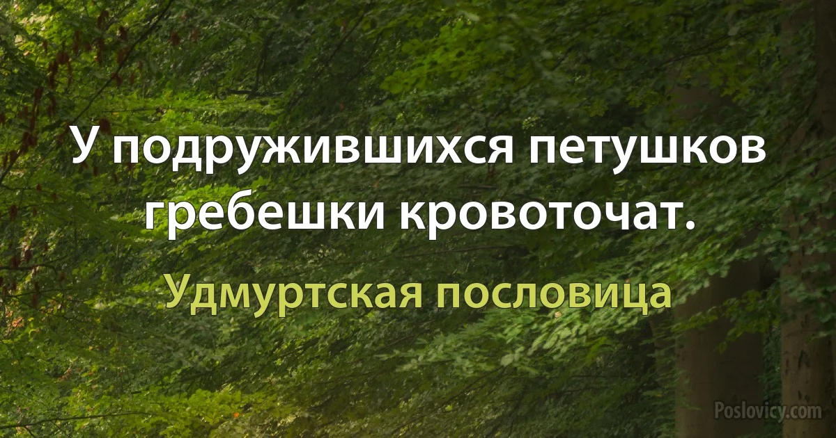 У подружившихся петушков гребешки кровоточат. (Удмуртская пословица)