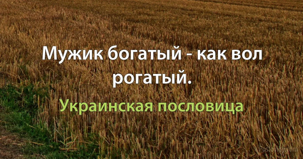 Мужик богатый - как вол рогатый. (Украинская пословица)