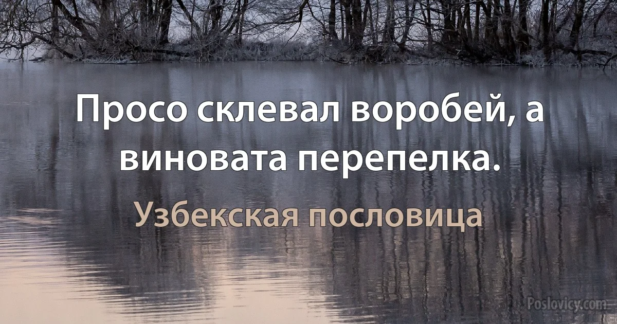 Просо склевал воробей, а виновата перепелка. (Узбекская пословица)