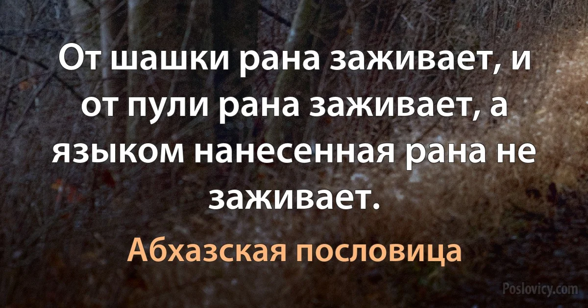 От шашки рана заживает, и от пули рана заживает, а языком нанесенная рана не заживает. (Абхазская пословица)