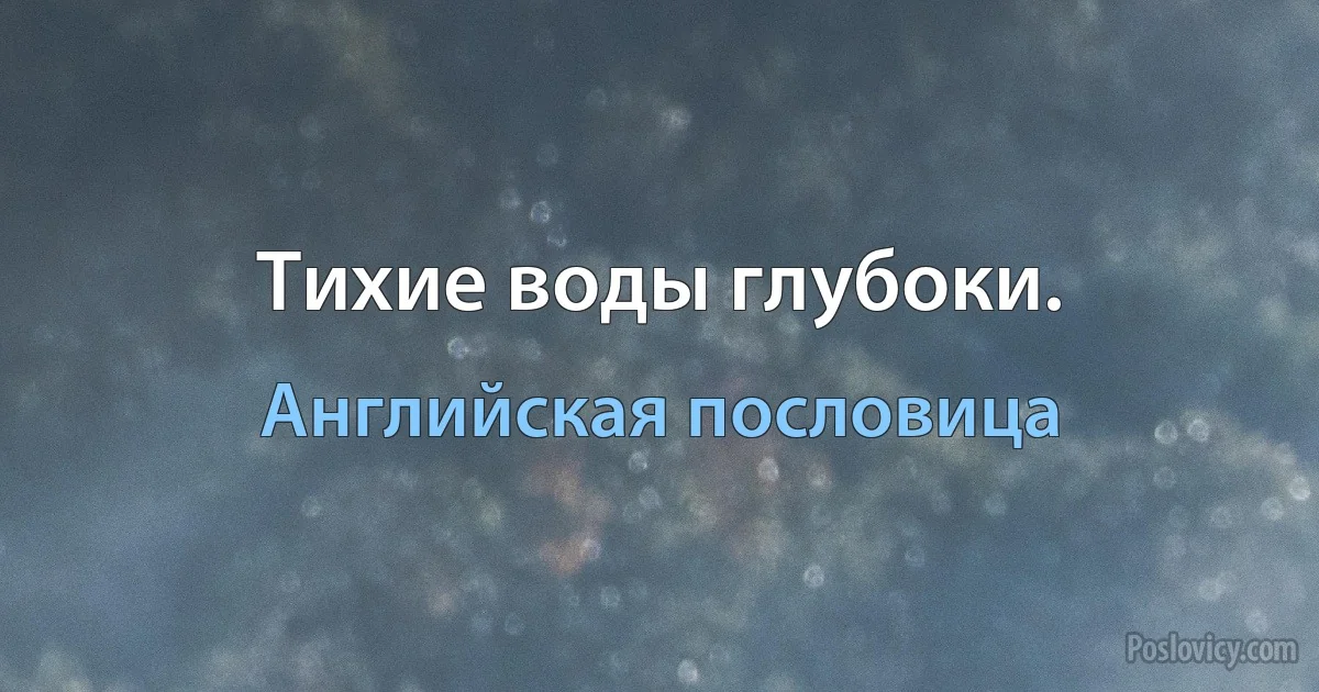 Тихие воды глубоки. (Английская пословица)