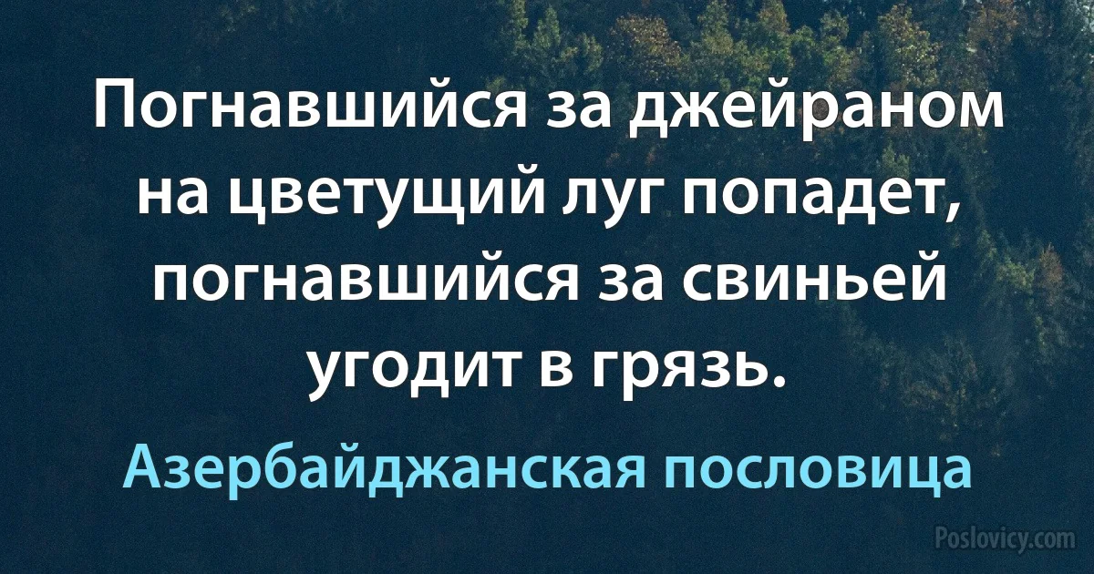 Погнавшийся за джейраном на цветущий луг попадет, погнавшийся за свиньей угодит в грязь. (Азербайджанская пословица)