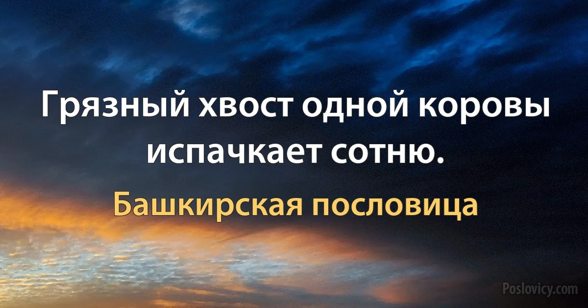 Грязный хвост одной коровы испачкает сотню. (Башкирская пословица)