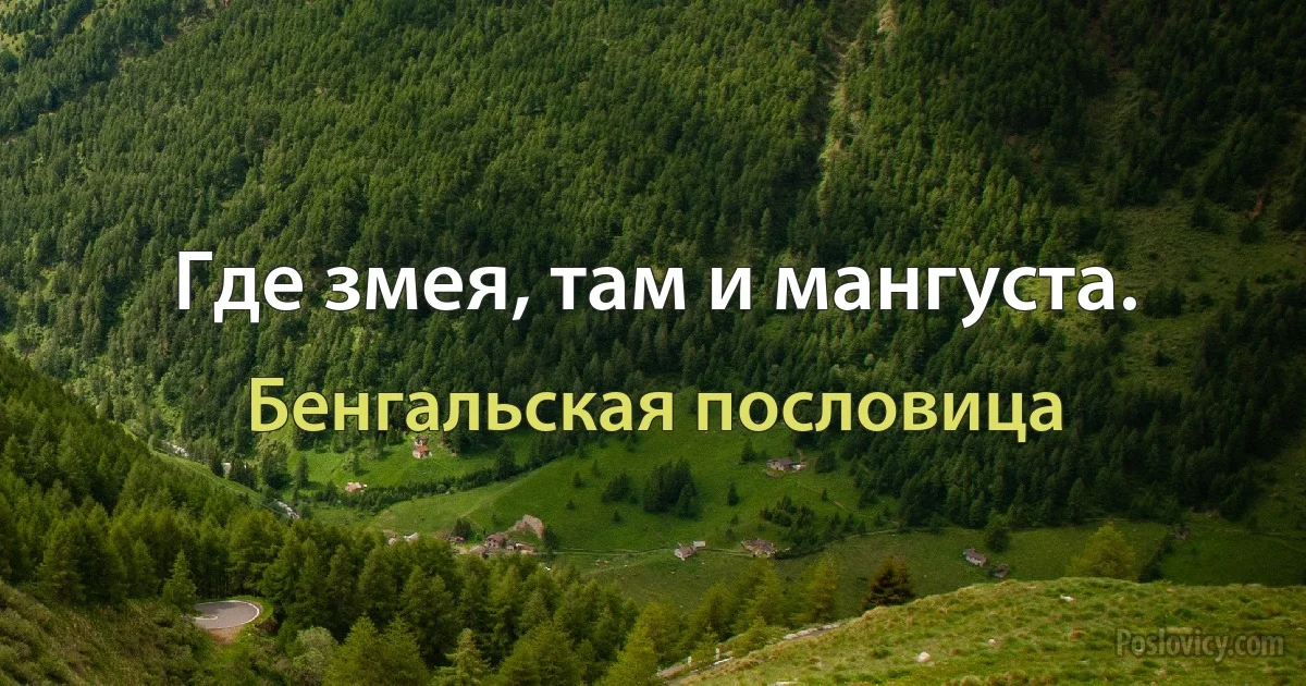 Где змея, там и мангуста. (Бенгальская пословица)