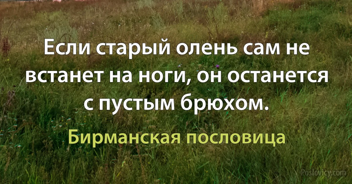 Если старый олень сам не встанет на ноги, он останется с пустым брюхом. (Бирманская пословица)