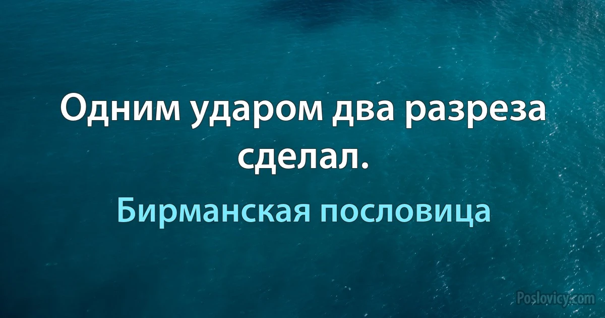 Одним ударом два разреза сделал. (Бирманская пословица)