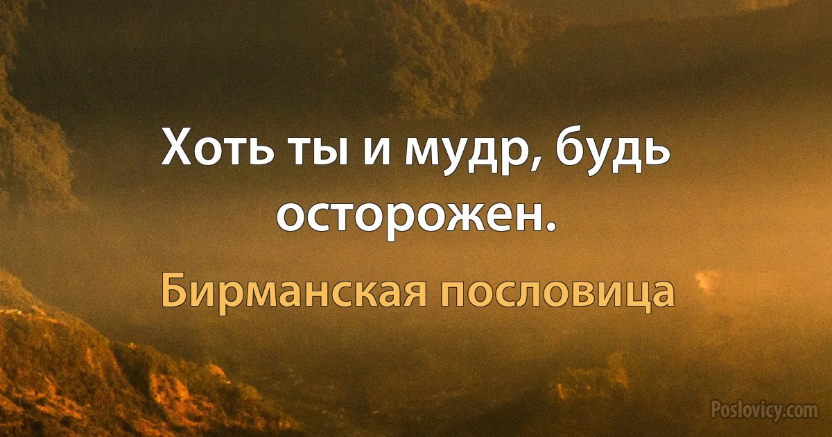 Хоть ты и мудр, будь осторожен. (Бирманская пословица)