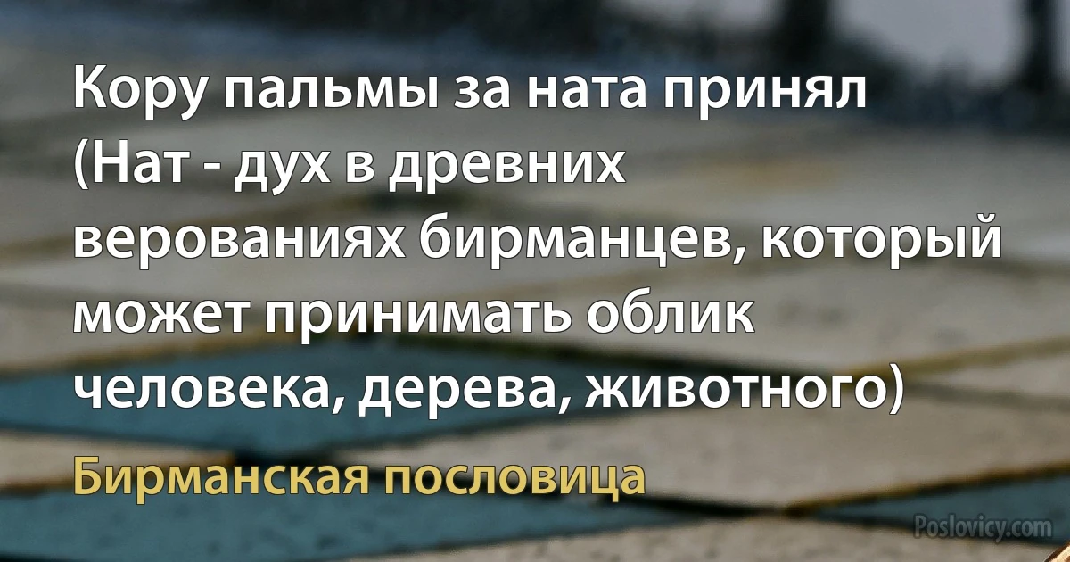 Кору пальмы за ната принял (Нат - дух в древних верованиях бирманцев, который может принимать облик человека, дерева, животного) (Бирманская пословица)