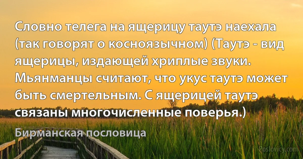 Словно телега на ящерицу таутэ наехала (так говорят о косноязычном) (Таутэ - вид ящерицы, издающей хриплые звуки. Мьянманцы считают, что укус таутэ может быть смертельным. С ящерицей таутэ связаны многочисленные поверья.) (Бирманская пословица)