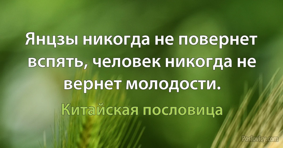 Янцзы никогда не повернет вспять, человек никогда не вернет молодости. (Китайская пословица)