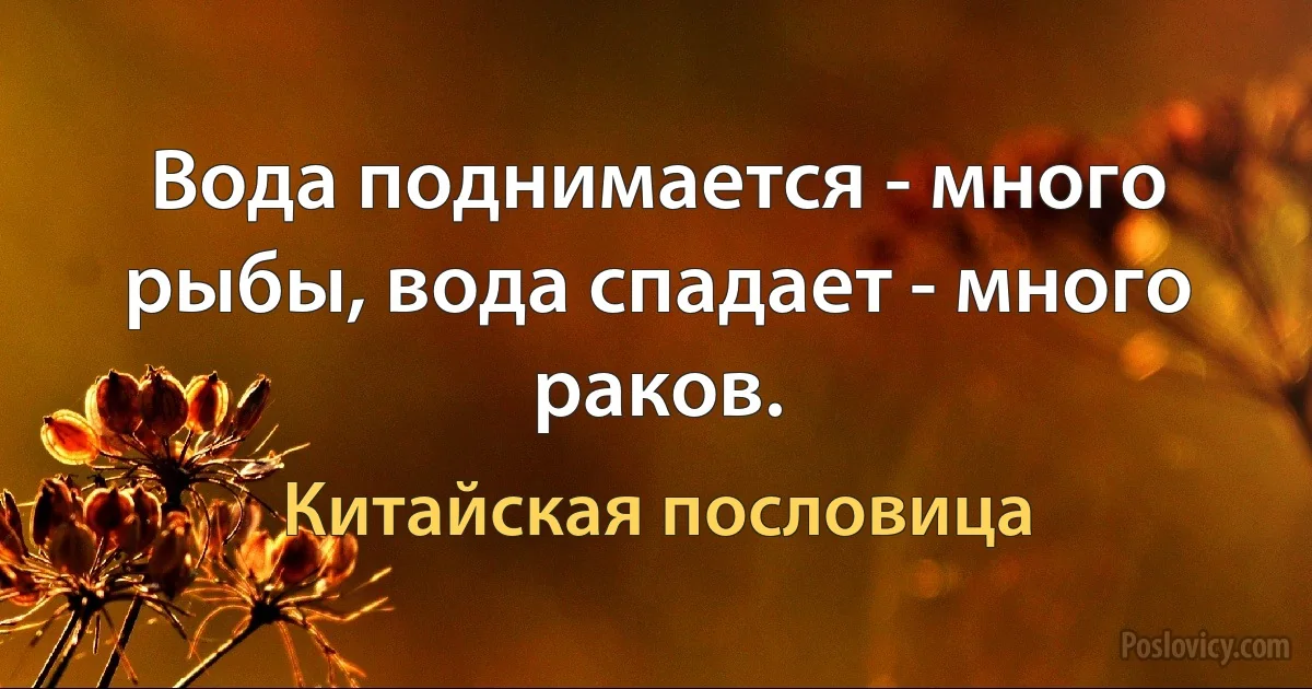 Вода поднимается - много рыбы, вода спадает - много раков. (Китайская пословица)