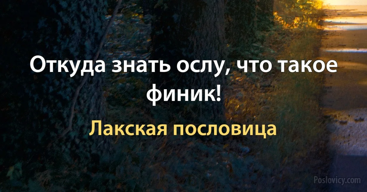 Откуда знать ослу, что такое финик! (Лакская пословица)