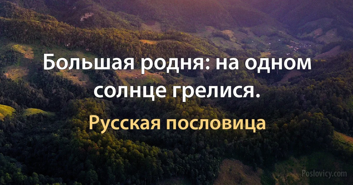 Большая родня: на одном солнце грелися. (Русская пословица)