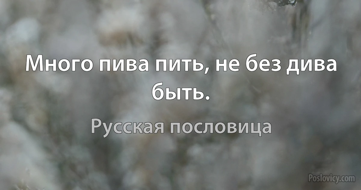 Много пива пить, не без дива быть. (Русская пословица)