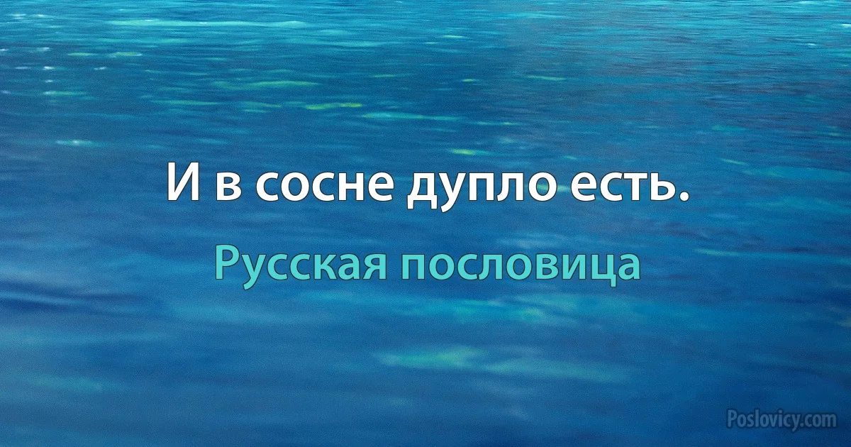 И в сосне дупло есть. (Русская пословица)